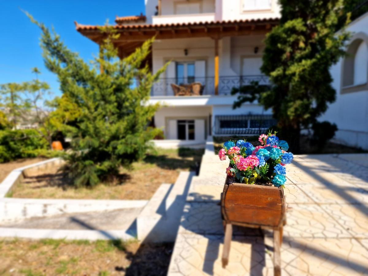 Villa Liana : Luxury Villa With Fantastic Sea View, Near Airport Pórto Ráfti エクステリア 写真