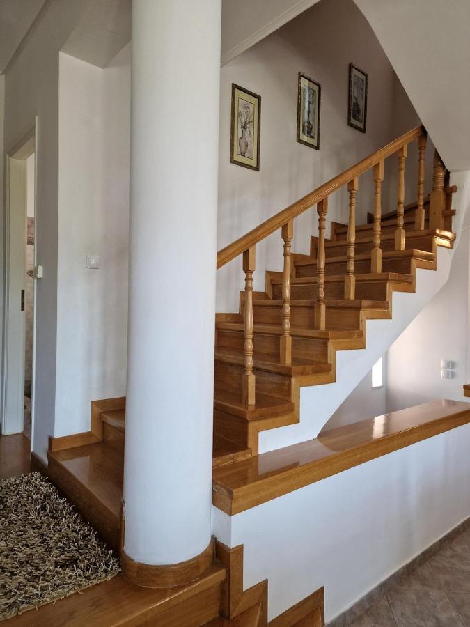 Villa Liana : Luxury Villa With Fantastic Sea View, Near Airport Pórto Ráfti エクステリア 写真