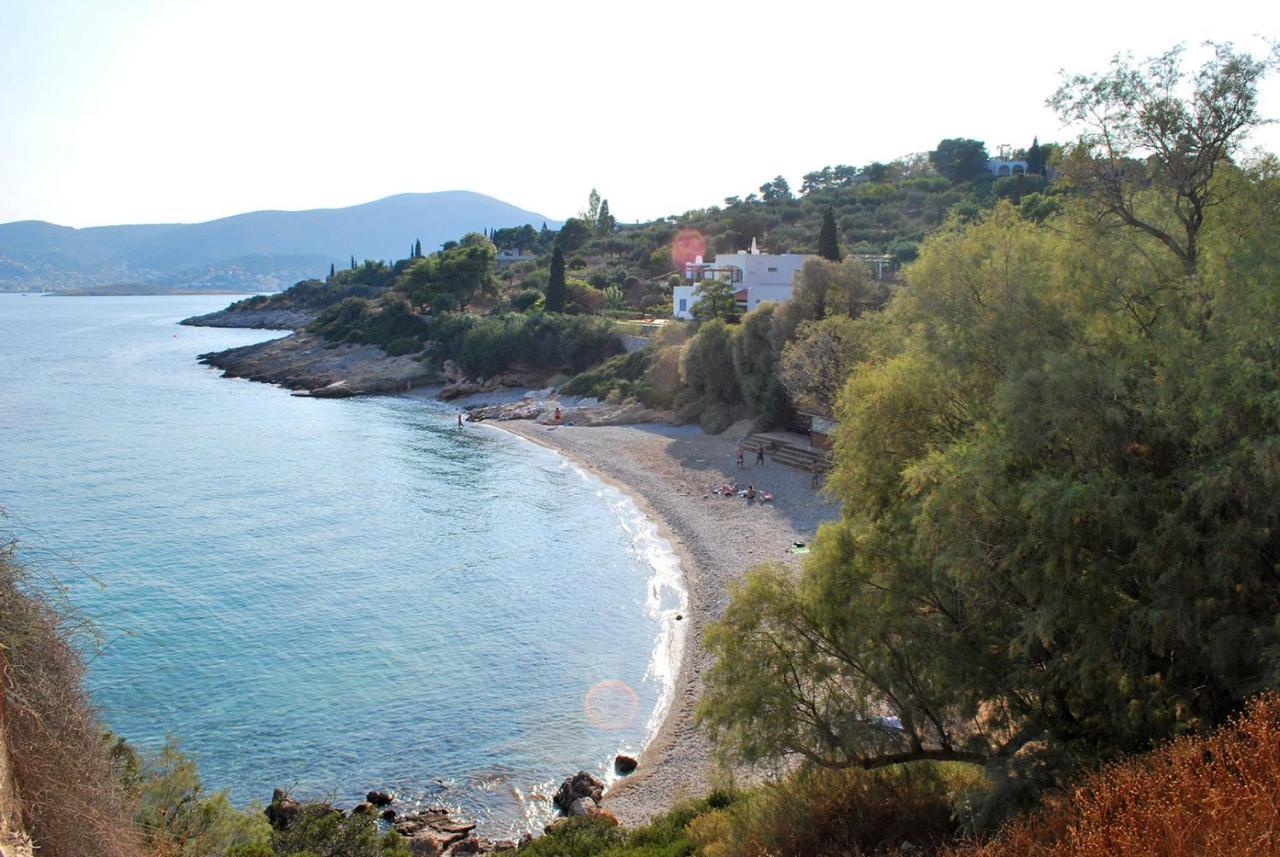 Villa Liana : Luxury Villa With Fantastic Sea View, Near Airport Pórto Ráfti エクステリア 写真