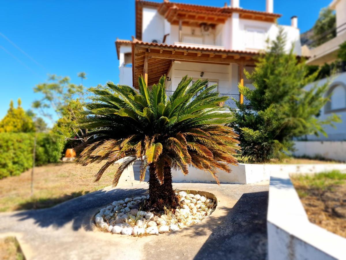 Villa Liana : Luxury Villa With Fantastic Sea View, Near Airport Pórto Ráfti エクステリア 写真
