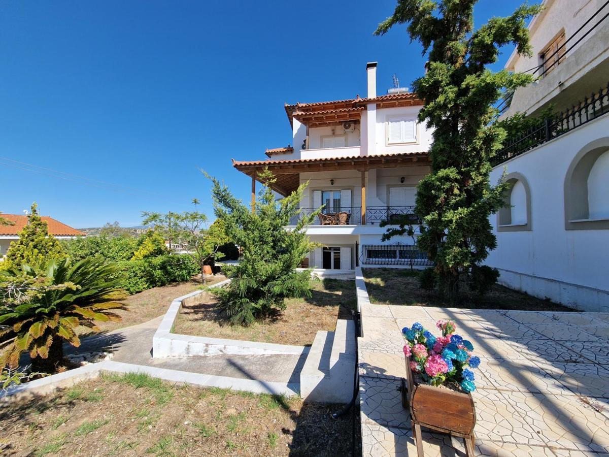 Villa Liana : Luxury Villa With Fantastic Sea View, Near Airport Pórto Ráfti エクステリア 写真