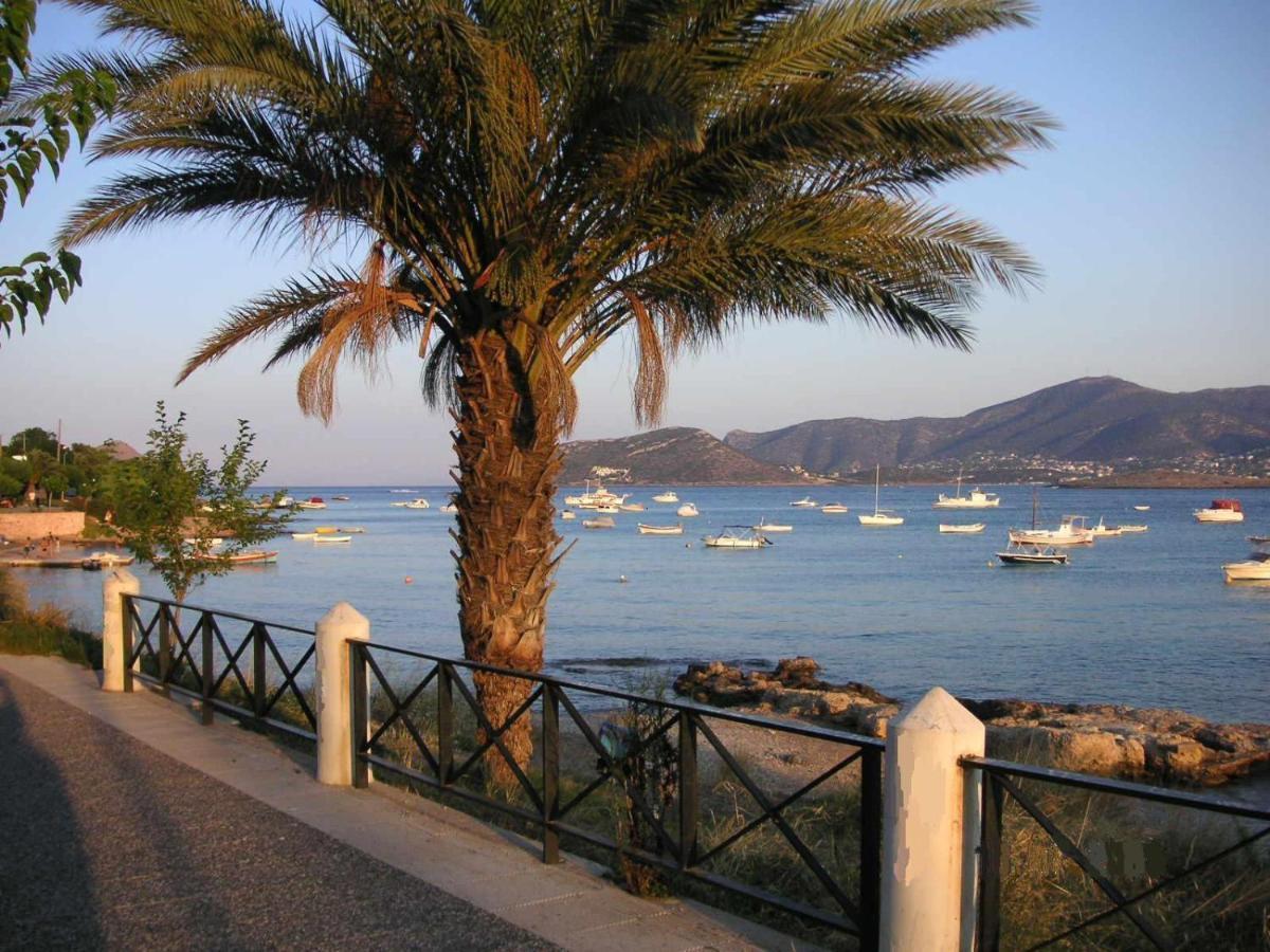 Villa Liana : Luxury Villa With Fantastic Sea View, Near Airport Pórto Ráfti エクステリア 写真
